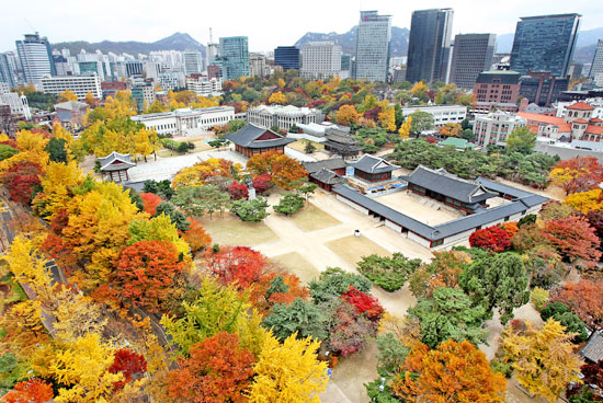 ８日、ソウル徳寿宮一帯が紅葉に染まっている。