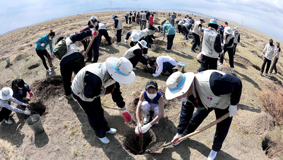 大韓航空の新入社員が１１日、モンゴル青少年と一緒に砂漠にポプラの木を植えている。