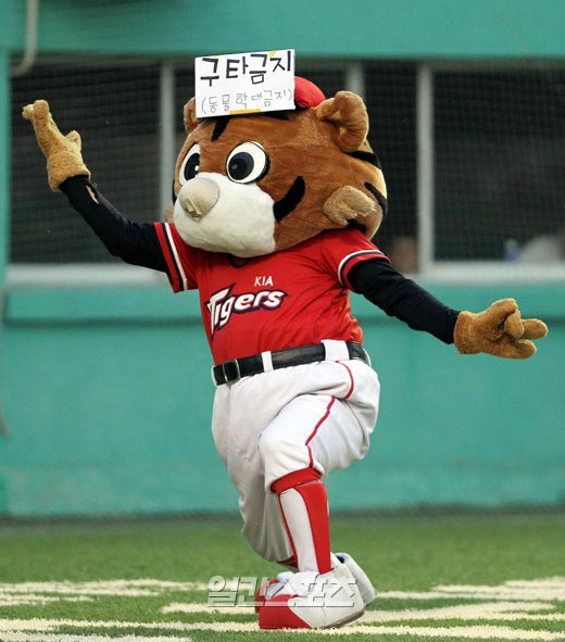 起亜タイガースにちなんだ虎のマスコット‘ホドリ’が、「殴打禁止、動物虐待禁止」と書かれたカードを頭につけて応援している。