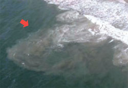 離岸流（矢印）の様子。海岸（右上）の一定地点から速いスピードで潮が深い所に流れ込んでいる。
