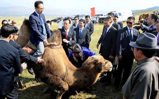 モンゴルを国賓訪問中の李明博（イ・ミョンバク）大統領が２３日、ウランバートル近隣の草原で開かれたエルベグドルジ・モンゴル大統領（右）との親交行事でラクダに乗っている。
