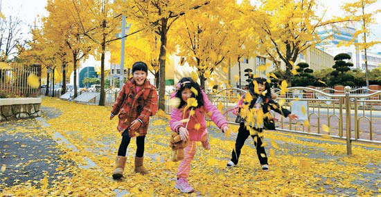 大田中区（テジョン・チュング）仙花小学校から大田女子産業高等学校までの区間に設けられた落ち葉の道で、子どもたちが楽しそうに飛び回って遊んでいる。