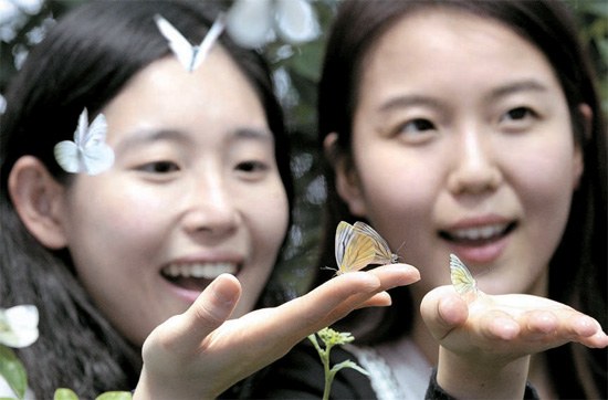 ２日、京畿道龍仁市（キョンギド・ヨンインシ）にあるエバーランドのイベントホール展示館で蝶の羽ばたきを見せている。
