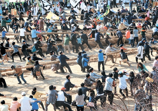 忠清南道唐津市（チュンチョンナムド・タンジンシ）で開かれた機池市（キジシ）綱引き祭りに参加した観光客が綱引きをしている。