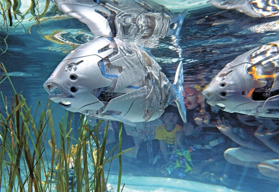 韓国で麗水（ヨス）世界博覧会が１２日に開幕する。国内初の商用化ロボット魚「フィロ」が水族館で遊泳する姿を観覧客が見ている。