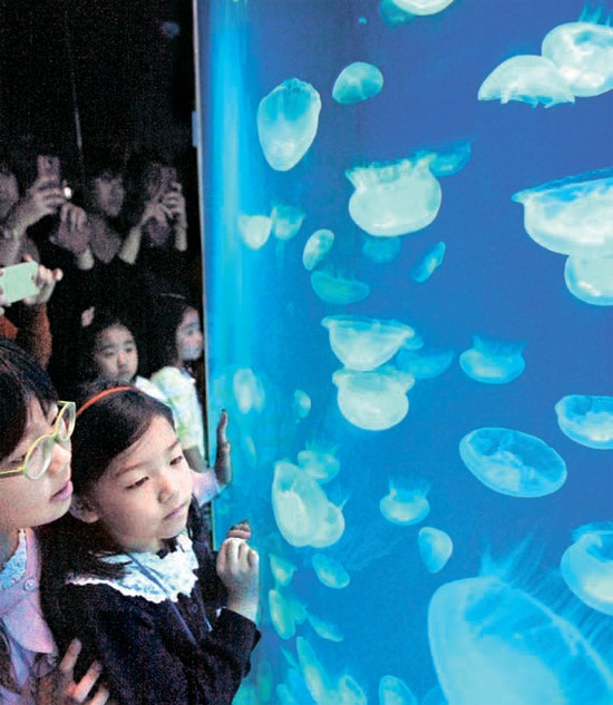１３日、麗水（ヨス）世界万博のアクアリウムを訪れた子どもがクラゲを観賞している。