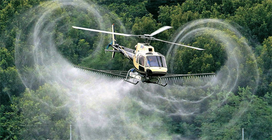 達城郡庁のヘリが１７日、大邱市達城郡（テグシ・タルソングン）で航空防除をしている。