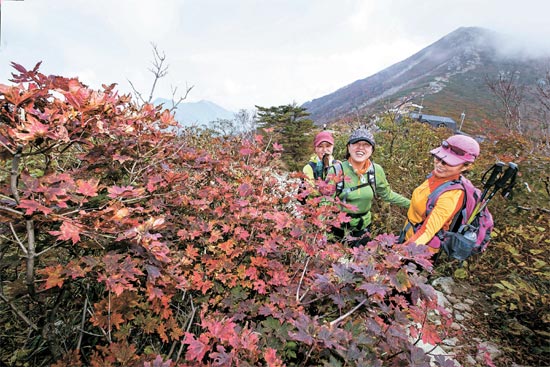 登山客が２５日、雪岳山（ソラクサン）の中青（チュンチョン）～小青（ソチョン）区間を歩いている。