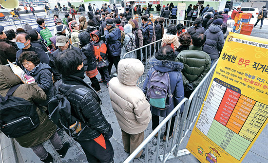 旧正月を５日後に控えた５日、ソウル清渓（チョンゲ）広場で「迎春　韓牛直売コーナー」た設けられ、多くの市民が集まった。