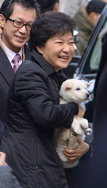 住民から贈られた珍島犬を抱きかかえる朴槿恵大統領。