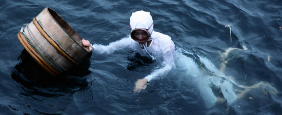 伝統的な服装の日本の海女。白い潜水服の磯着を着て浮力機構である磯桶をつかんでいる。海女は磯桶と結ばれたひもを自分の腰に縛って潜水した。（写真＝中央フォト）