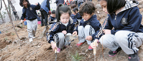 ２６日、ソウル瑞草区（ソチョグ）で行われた「２０１４住民と一緒に行う山火事安全文化運動および植樹行事」で、保育園児が金剛松の苗木を植えている。