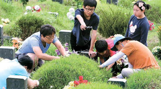 ３１日、釜山市仙杜邱洞の零落公園を訪れた家族が墓地の雑草の除去作業をしている。
