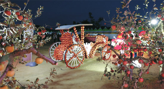 青松リンゴ祭りに登場したリンゴ馬車。（写真＝青松郡庁）