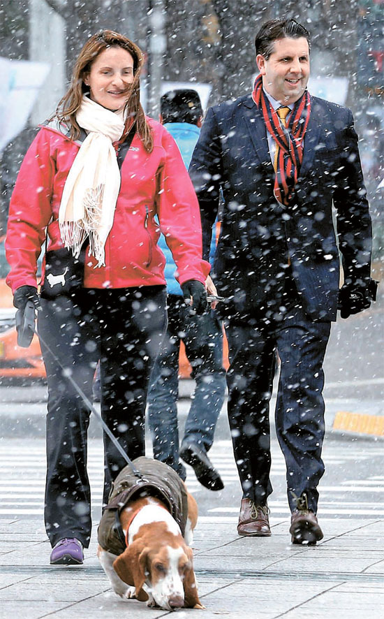 １日午前、雪が降る中、駐韓米大使のマーク・リパート氏（右）が夫人のロビンさんと愛犬のグリクスビーとともにソウル世宗大路の横断歩道を歩いている。