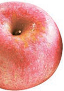 忠州で生産されているリンゴ