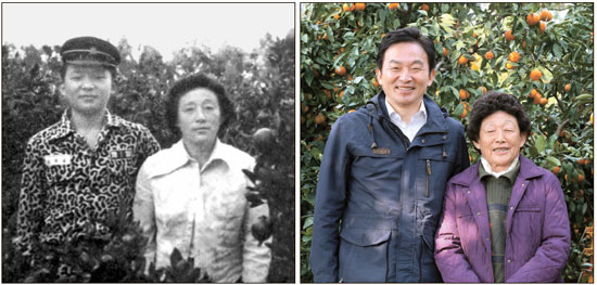 元喜龍（ウォン・ヒリョン）知事が高校時代、南済州郡中文面（現西帰浦市）ミカン畑で母キム・チュンニョンさん（８０）と撮った写真（左）。３０年過ぎた８日、同じ場所でまた撮影した。今はミカン畑が元知事の父の所有地だが、３０年ほど前は他人の土地だった。元知事は「父は商売をし、母は土地を借りてミカンの木を植えて育てた」と伝えた。幼い頃、元知事も母と一緒に農作業をした。