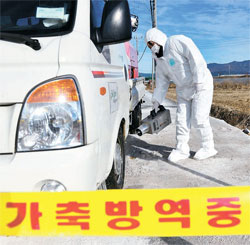 今月１９日、釜山江西区のある農場でＡＩ防疫要員が消毒作業を行っている。