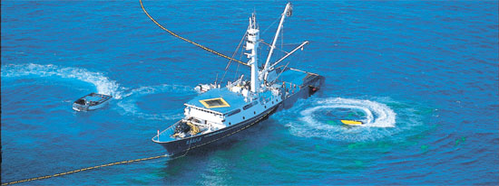 遠洋漁船がマグロ巻き網漁を行っている様子。最近マグロの巻き網漁船は魚群探知機・ソナー・レーダー・衛星通信装置に続きヘリコプターまで動員した先端装備を備えている。（写真＝韓国遠洋産業協会）