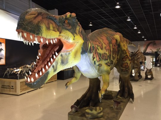 韓国で体長５０センチのティラノサウルス類の化石が見つかった。