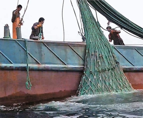 今月からワタリガニ禁漁期が始まり、西海５島の漁民の操業も中断した。６－８月は中国の禁漁期であり、中国漁船も操業を中断しなければならない。しかし依然として中国漁船７０余隻が韓国領海の西海（ソヘ、黄海）北方限界線（ＮＬＬ）一帯で違法操業している。写真はＮＬＬ一帯で６月に違法操業をする中国漁船。（写真＝仁川海警）