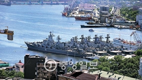ロシア・極東の関門であるウラジオストク港で軍艦と商船が停泊している。
