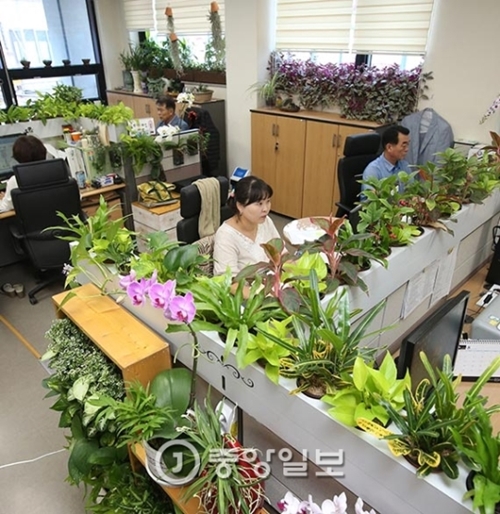 釜山市北区亀浦洞（プサンシ・プック・クポドン）の釜山農業技術センターの職員が３０日、多様な植物で埋め尽くされた事務所で働いている。