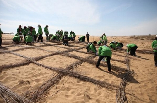 ２０１２年に中国・内モンゴル砂漠で権丙鉉初代駐中大使と未来の森大学生団員が進めた植樹活動。１０年間の植樹活動で権大使と未来の森はこの地域に約８４０万株の木を植えた。（写真＝未来の森）
