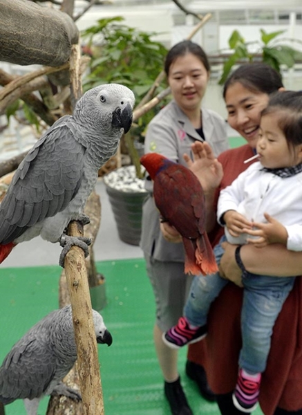 ２９日、大田市中区沙亭洞Ｏ　Ｗｏｒｌｄ」に世界の貴重な鳥を集めた大田バードランドがオープンした。