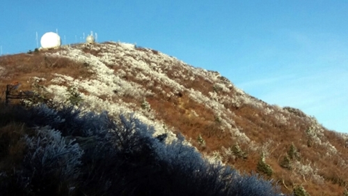 雪岳山で観測された今秋初の樹霜（写真提供＝雪岳山国立公園事務所）