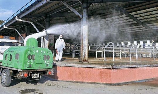 １０日午後、忠清南道論山（ノンサン）家畜市場で防疫担当者が消毒作業をしている。