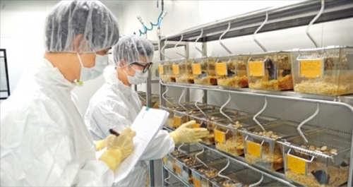 食品医薬品安全処の職員が忠清北道五松の動物実験センターで薬品の実験をしている。（写真＝食品医薬品安全処提供）