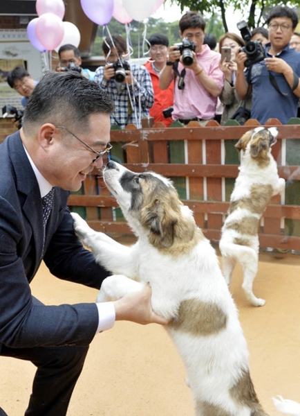 ２４日、大田Ｏ！Ｗｏｒｌｄで複製に成功したブチサプサル犬が一般に公開された。左は研究チームを主導した忠南大動物資源学部のキム・ミンギュ教授。