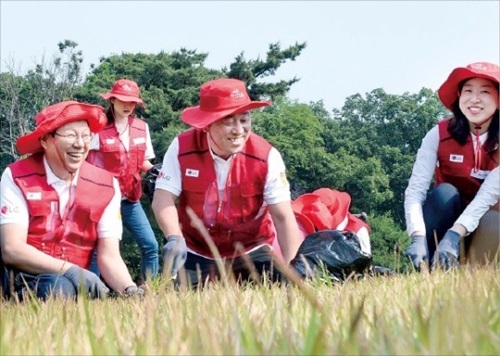 趙成珍（チョ・ソンジン）ＬＧエレクトロニクス副会長（左）が１５日、京畿道高陽市にある朝鮮王陵「西五陵」で役職員と文化遺産・環境保護のための雑草除去活動をしている。（ＬＧエレクトロニクス提供）