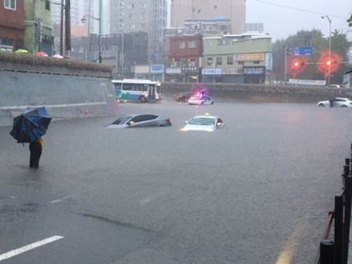 １１日、釜山に１時間で１００ミリの激しい雨が降った。写真は突然の増水で浸水した車両の様子。（写真＝読者提供）