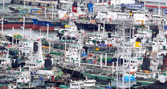 １５日、釜山港近隣の埠頭に避難した船。