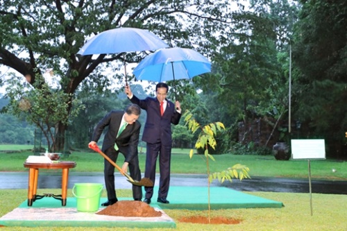 ９日（現地時間）、インドネシア・ボゴールの大統領宮で文在寅大統領（左）とジョコ・ウィドド大統領と記念植樹を行っている。