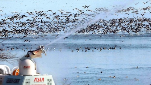 ２１日、全羅南道舒川の錦江河口堤防一帯で、畜産協同組合関係者が防疫車両を利用して鳥インフルエンザ予防のために消毒作業を行っている。