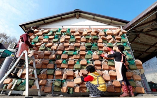 先月２９日、忠清南道論山市陽村面の農家が軒先に栽培・収穫した豆で作った味噌玉麹をつるす作業をしている。
