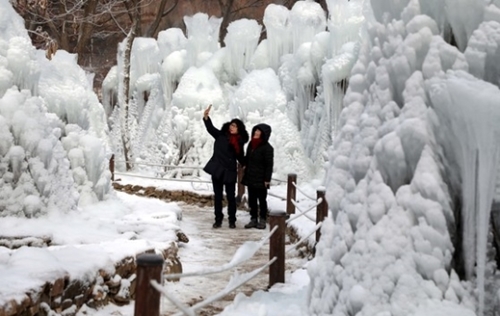 １４日、大田市東区上所洞の森林浴場内にある氷の丘を訪れた市民が寒さによってできた氷の作品を見物して写真を撮っている。