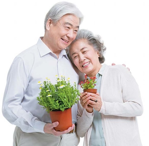 韓国の高齢夫婦