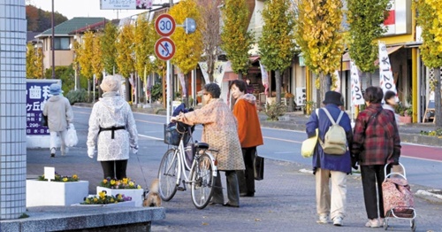 ２０年前から人口が減っている埼玉県鳩山ニュータウンの２０１５年の姿。ここでは住宅の２５％が空き家という。（中央フォト）
