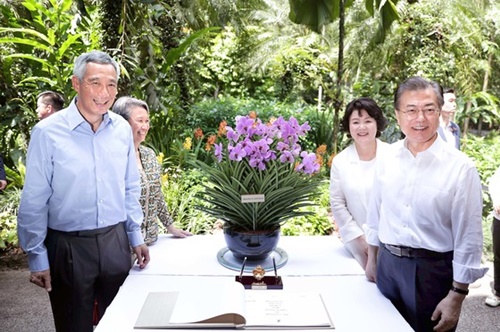 韓国の文在寅大統領夫妻とシンガポールのリー・シェンロン首相夫妻が１２日（現地時間）、シンガポール植物園で開かれた蘭命名式で記念撮影に臨んでいる。蘭命名式はシンガポール政府が貴賓に対する歓待と礼遇の意味を込めて、新しく培養した蘭の種に貴賓の名前を付ける行事で、韓国大統領の出席は今回が初めて。