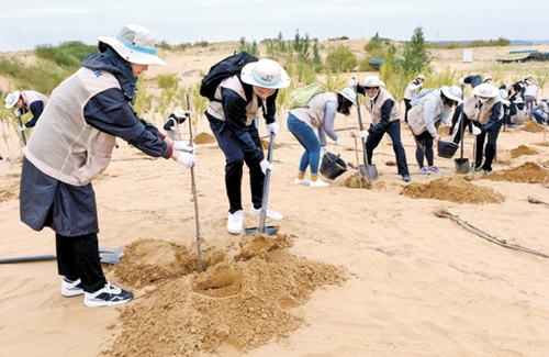 １８日、中国内モンゴルのクブチ砂漠で植樹ボランティア活動を行っている大韓航空役の職員ら。