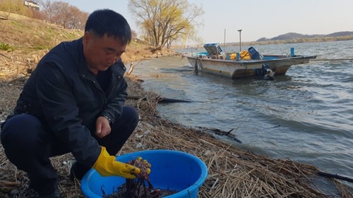 ４日、京畿道高陽市の漢江河口で捕まえたヒモムシを漁師が手に取り見せている。