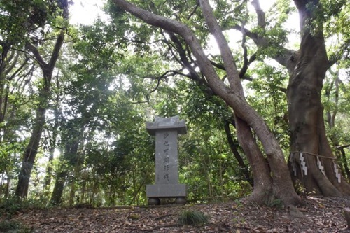 和歌山県の紀州東照宮にある沙也可顕彰碑。碑が建てられた当時の状況をよく知る人は「意図してこの場所を選んだわけではないが、碑の前の２本の木が絡んでいる姿があたかも韓日関係を表すようだ」と述べた。