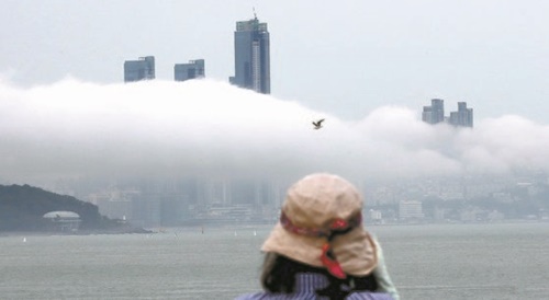 先月３０日、海霧に包まれた釜山海雲台の様子。高層ビルが海霧の上に突き出た場面を捉えたアングルの中を１羽のカモメが横切っている。