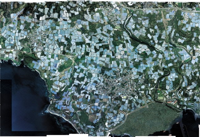 衛星写真で見た済州道西帰浦市江汀洞一帯