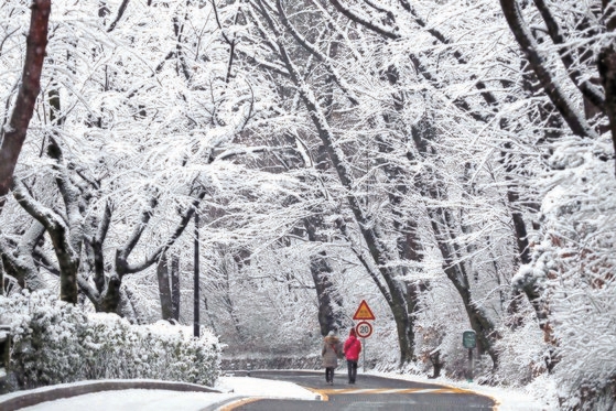 １７日、白い雪に覆われたソウル南山の様子。キム・サンソン記者