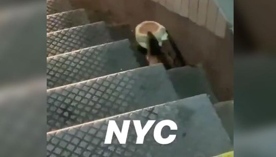米国ニューヨークで発見されたネズミ。マクドナルドのエッグマフィンを噛んで階段を降りていく姿が３月ツイッターを通じて公開されて話題になった。［写真　ツイッター］